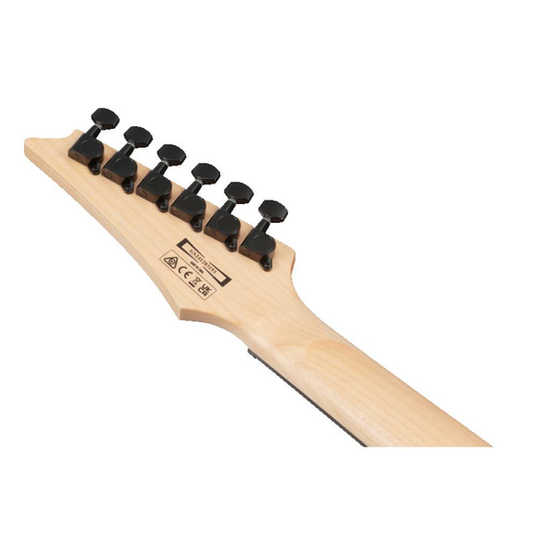 Електрогітара Ibanez GRG120QASP-BKG Black Gradation Gio 633018 фото